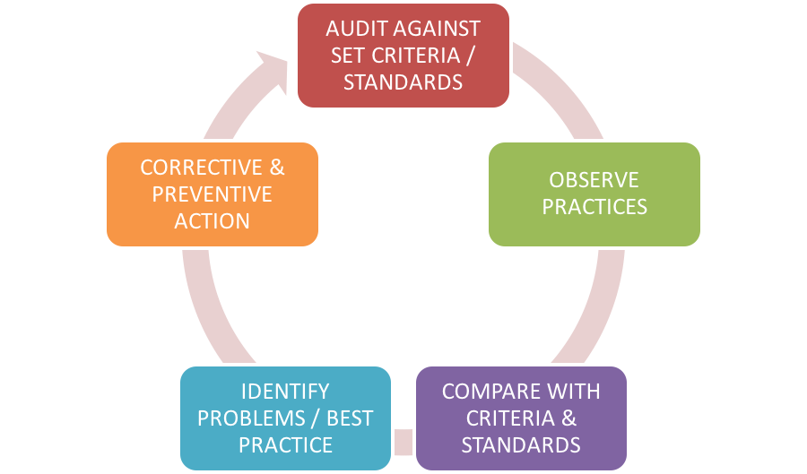 Audit